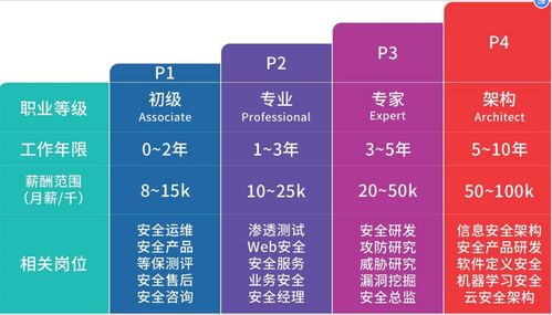 軟件工程專業(yè)實(shí)訓(xùn)轉(zhuǎn)向網(wǎng)絡(luò)安全 聚焦網(wǎng)絡(luò)與信息安全軟件開發(fā)的機(jī)遇與路徑